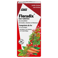 Salus Floradix IJzer Tabletten