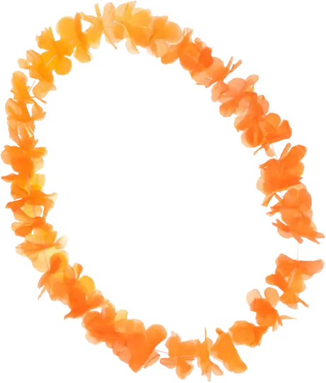 Hawaii krans Oranje