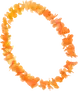 Hawaii krans Oranje