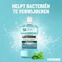Listerine® Cool Mint Milde Smaak Mondspoeling 500 ML