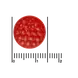 Etos Nachtrust Gummies 60 stuks