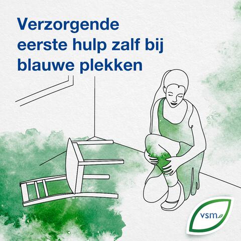 VSM Arniflor Eerste Hulp Zalf 25 GR