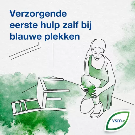 VSM Arniflor Eerste Hulp Zalf 25 gram
