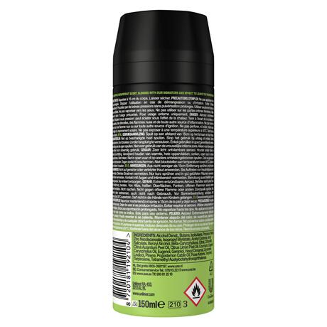 AXE Epic Fresh Deodorant Bodyspray 150 ML