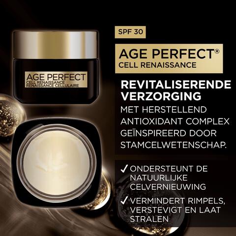 L'Oréal Paris Age Perfect Cell Renaissance SPF30 Dagcrème 50 ML