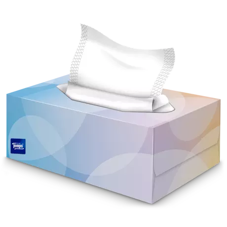 Tempo Everyday XXL Light box 3-Laags Tissues 140 stuks