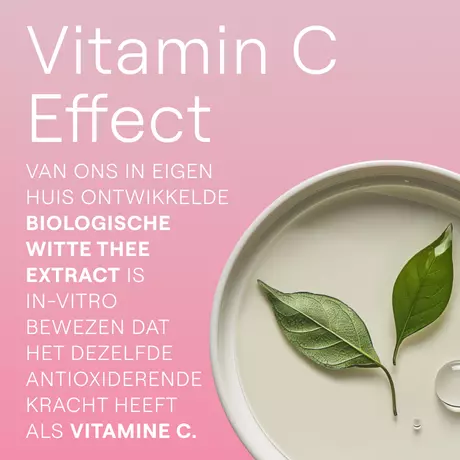 WELEDA Wilde Rozen & Witte Thee Vitaliserende Dagcrème 40 ML