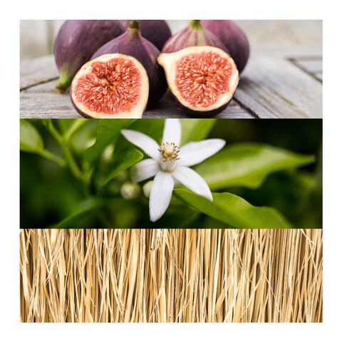 Calvin Klein CK One Gold Eau de Toilette unisex 50 ML