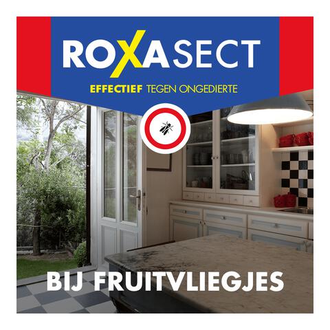Roxasect Fruitvliegjes Vanger 1 stuk
