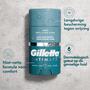 Gillette Intimate Anti-Schuurstick Voor Intieme Zone