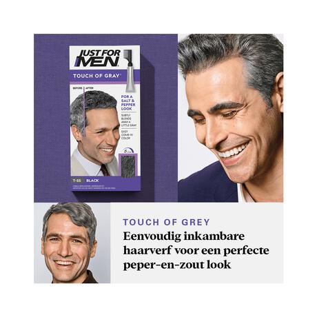 Just For Men Touch of Grey T55