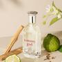 Tommy Hilfiger Tommy Girl eau de toilette 100 ML