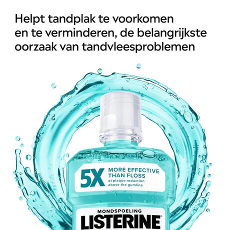 Listerine Coolmint Milde Smaak Mondwater 500 ML
