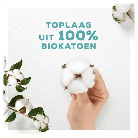 Always Maandverband Cotton Protection Normal 11 stuks