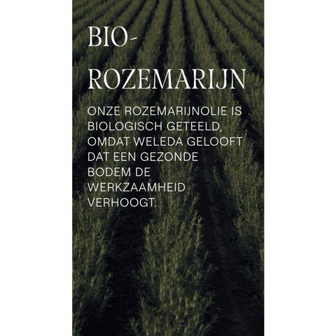 Weleda Rozemarijn Revitaliserende Haarlotion 100 ML