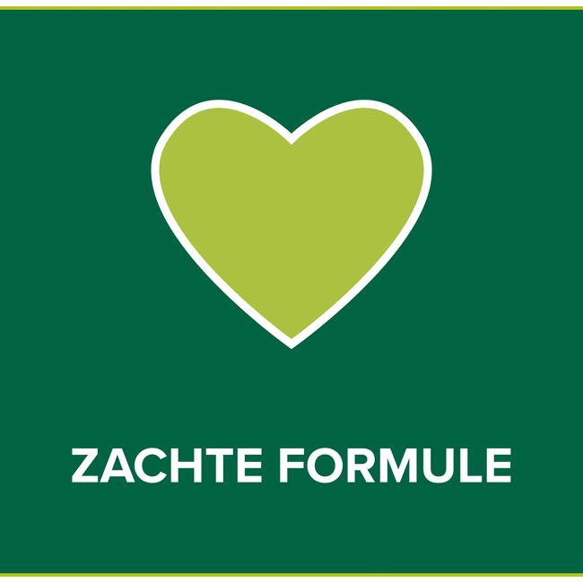 Palmolive Hygiëne Plus Family Antibacteriële Vloeibare Handzeep 300 ML