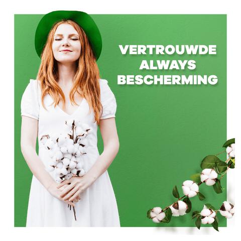 Always Maandverband Bio Cotton Normal Big Pack