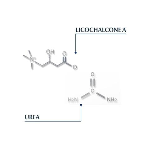 Eucerin DermoCapillaire Kalmerende Urea Verzorging 100 ML