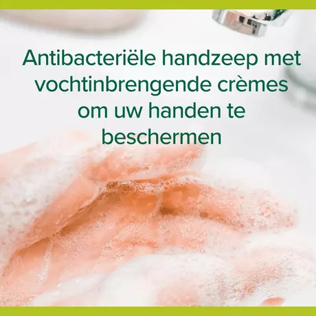 Palmolive Hygiëne+ Family Antibacteriële Handzeep 300 ML