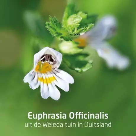 Weleda Ogentroost Oogdruppels Flacon