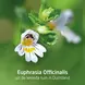 WELEDA Ogentroost Oogdruppels Flacon