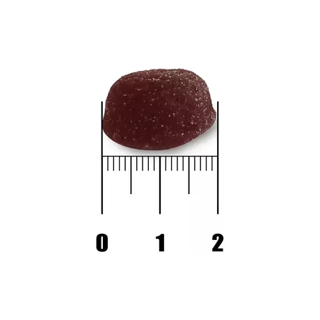New Nordic Hair Volume Gummies