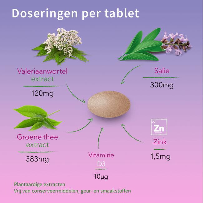Valdispert Overgang Gewicht 60 stuks