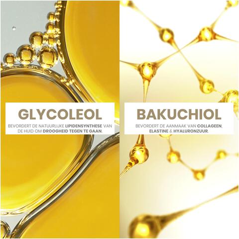 Avène Dermabsolu Oogcrème 15 ML