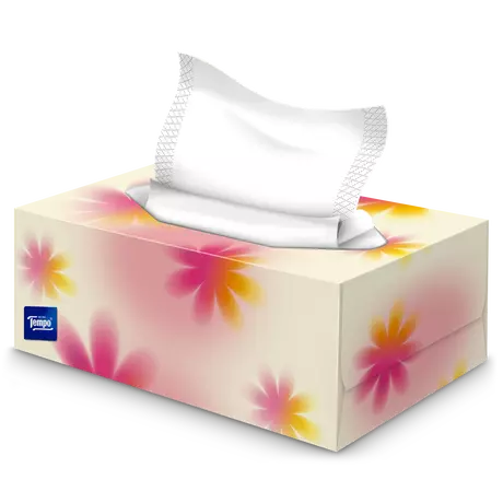 Tempo Everyday XXL Light box 3-Laags Tissues 140 stuks