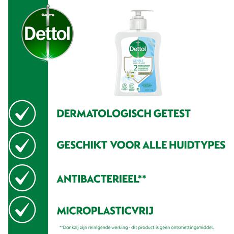 Dettol Handzeep Extra Care Kamille 250 ML