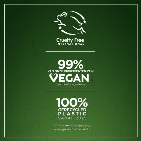 Garnier Loving Blends Charcoal Shampoo 300 ML