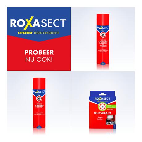 Roxasect Vliegenvanger 4 stuks