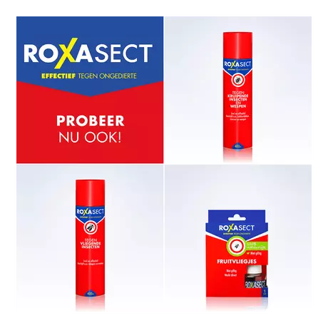 Roxasect Vliegenvanger 4 stuks