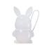 Trouble Maker Feral Bunny Mystery Lipgloss