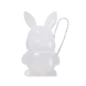 Trouble Maker Feral Bunny Mystery Lipgloss
