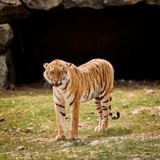 Entreeticket AquaZoo Leeuwarden vanaf 3 jaar