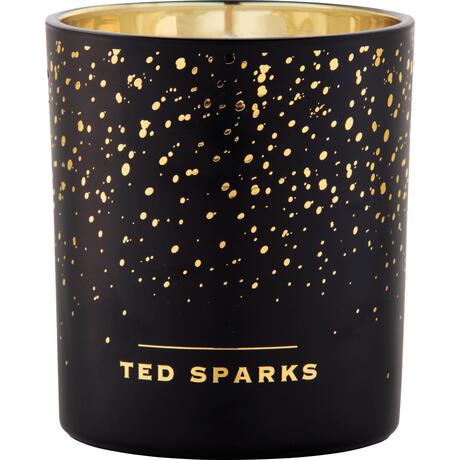 Ted Sparks Giftset Candle & Diffuser Cinnamon & Spice