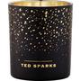 Ted Sparks Giftset Candle & Diffuser Cinnamon & Spice