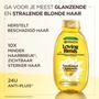 Garnier Loving Blends Sun-Kissed Chamomile & Bloemenhoning Shampoo 300 ML