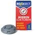 Roxasect Mierenloktoren 2 stuks