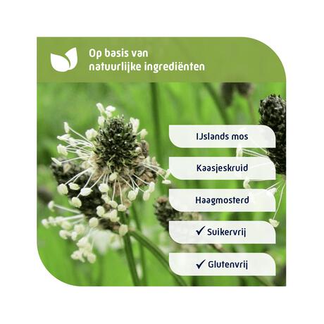 Natterman Direct Voor Alle Hoest Suikervrij Siroop 120ML