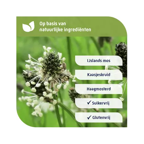 Natterman Direct Voor Alle Hoest Suikervrij Siroop 120 ML