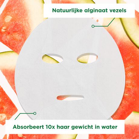 Garnier SkinActive Ampul Sheet Masker Met Watermeloen & Hyaluronzuur