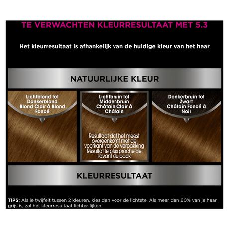 Garnier Olia Permanente Haarverf 5.3 Licht Goudbruin