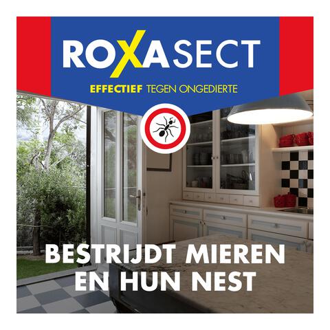 Roxasect Mierenpoeder 75 gram