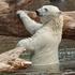 Entreeticket Ouwehands Dierenpark