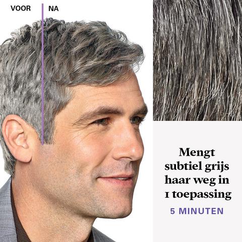 Just For Men Touch of Grey T35