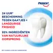 Prodent Cool Mint Tandpasta 75 ML