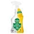 Dettol Spray Citrus 500 ML