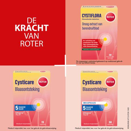 Roter Cystiflora 30 tabletten